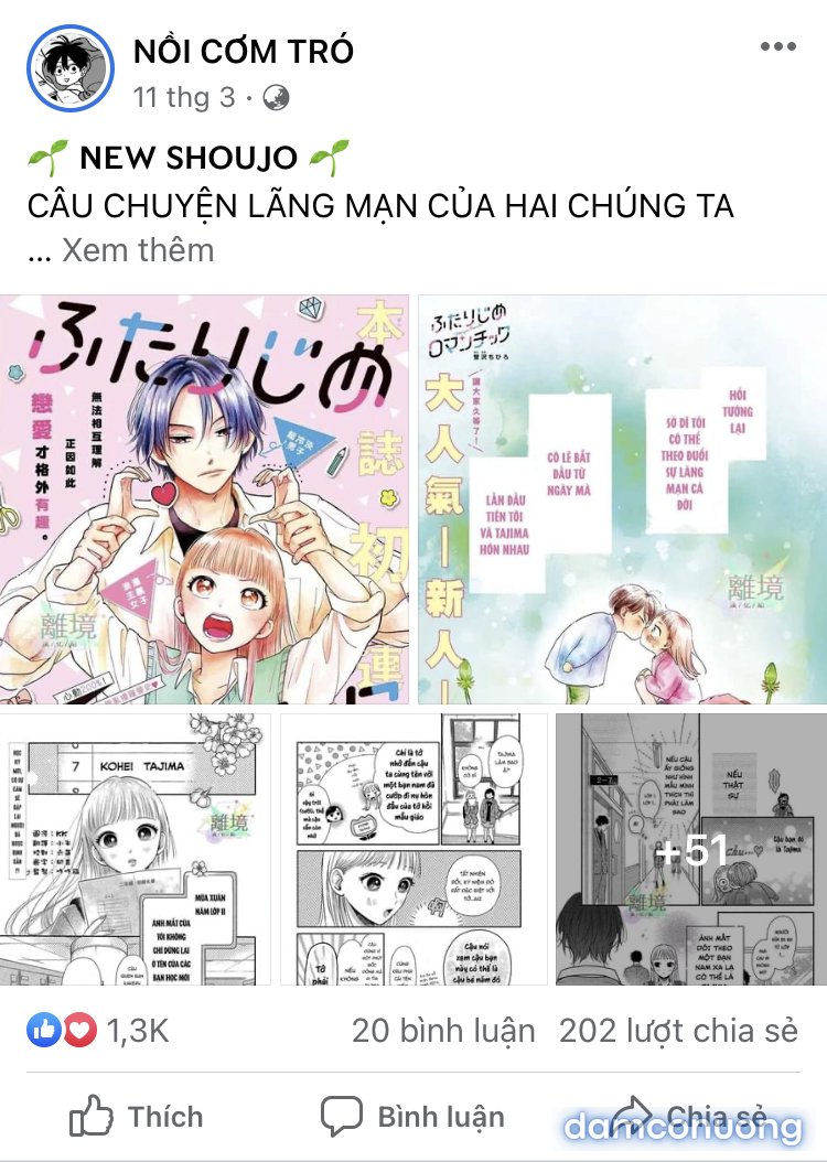Đám Cưới Đom Đóm 