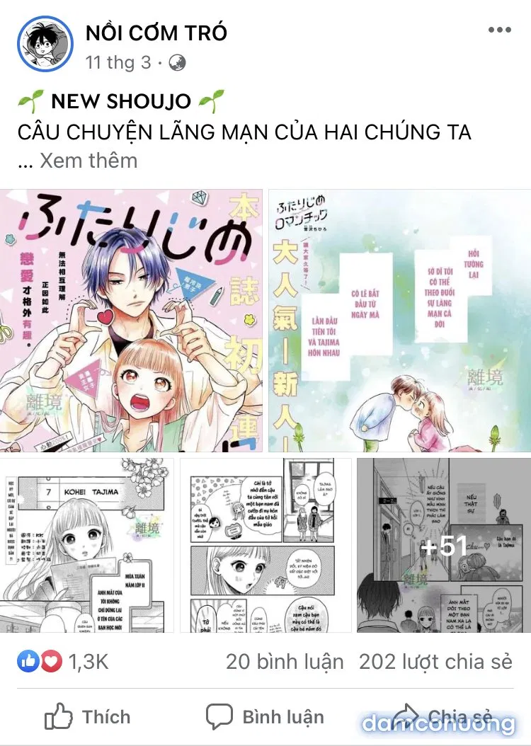Đám Cưới Đom Đóm 