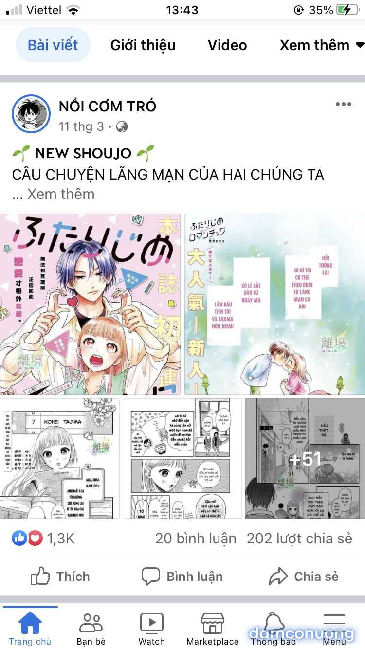 Đám Cưới Đom Đóm 
