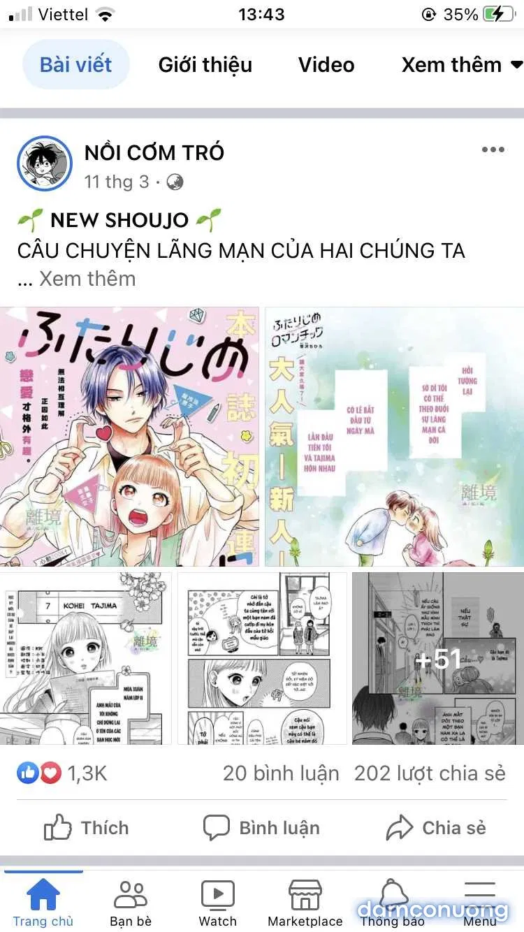 Đám Cưới Đom Đóm 