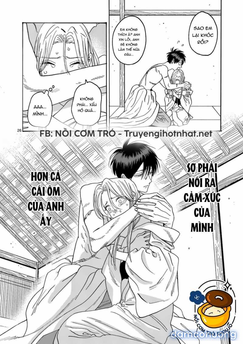 Đám Cưới Đom Đóm 