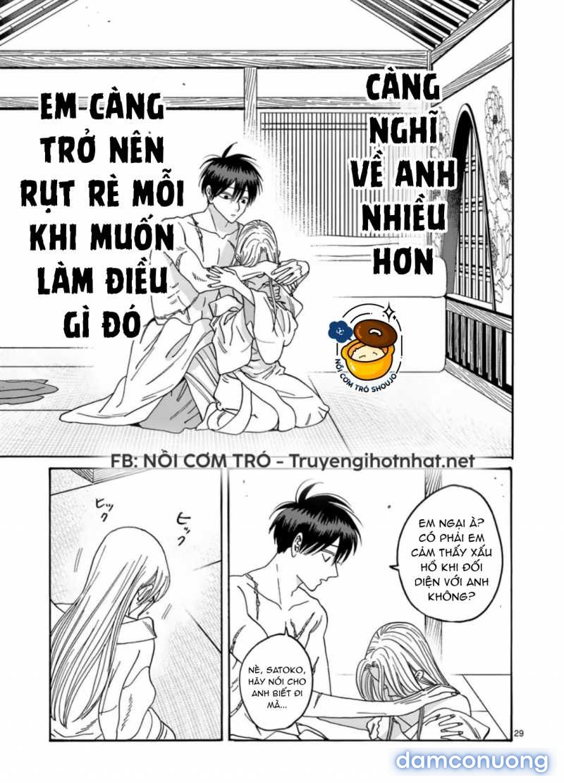 Đám Cưới Đom Đóm 