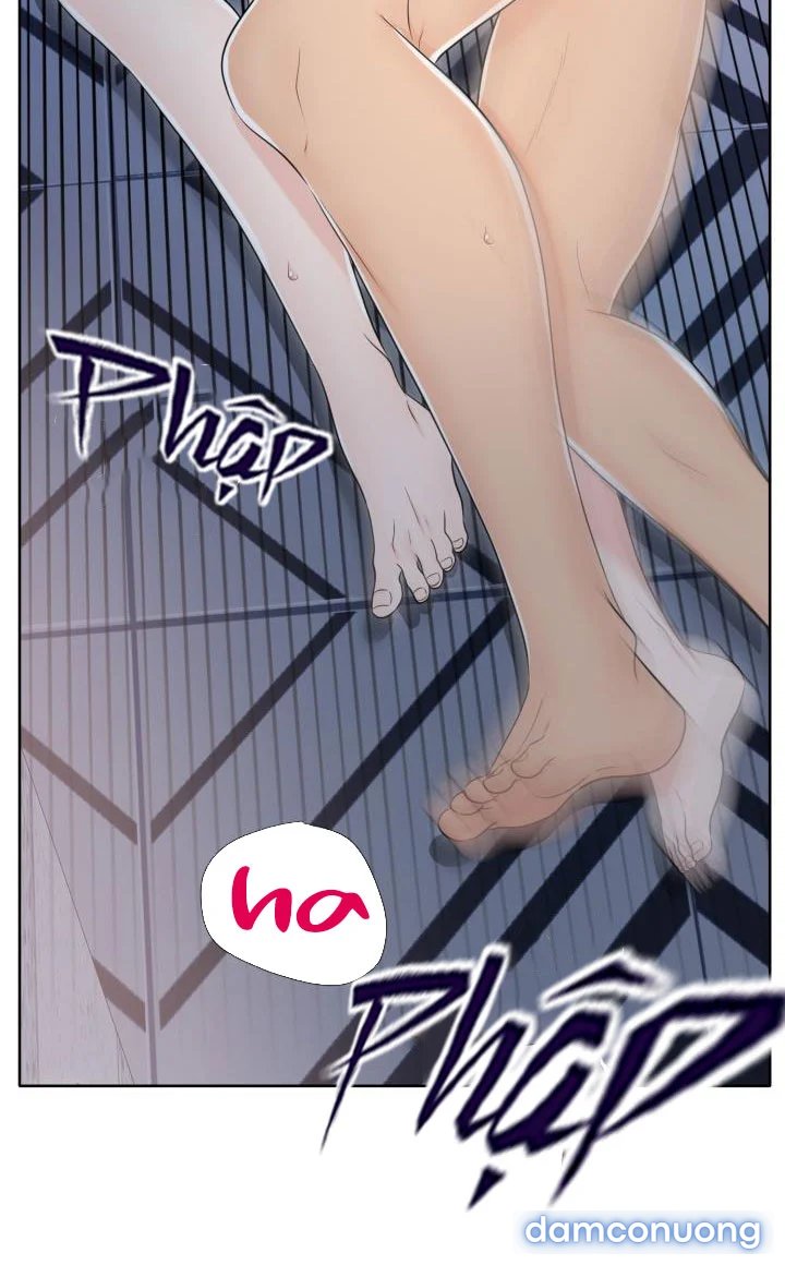[18+] Em Sẽ Chọn Alpha Nào~ 