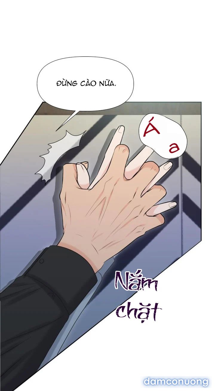 [18+] Em Sẽ Chọn Alpha Nào~ 