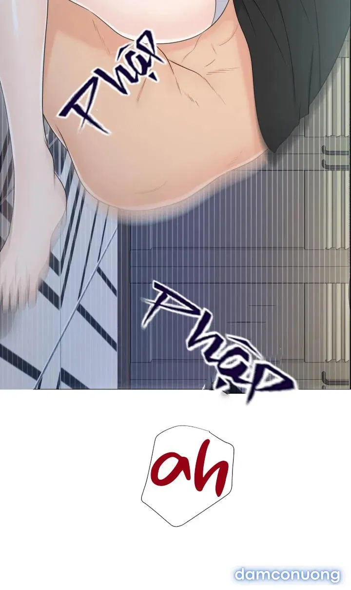 [18+] Em Sẽ Chọn Alpha Nào~ 