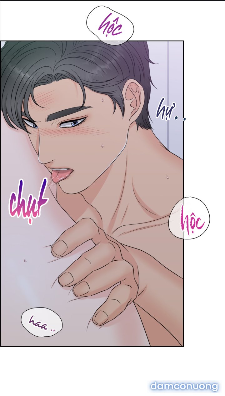 [18+] Em Sẽ Chọn Alpha Nào~ 