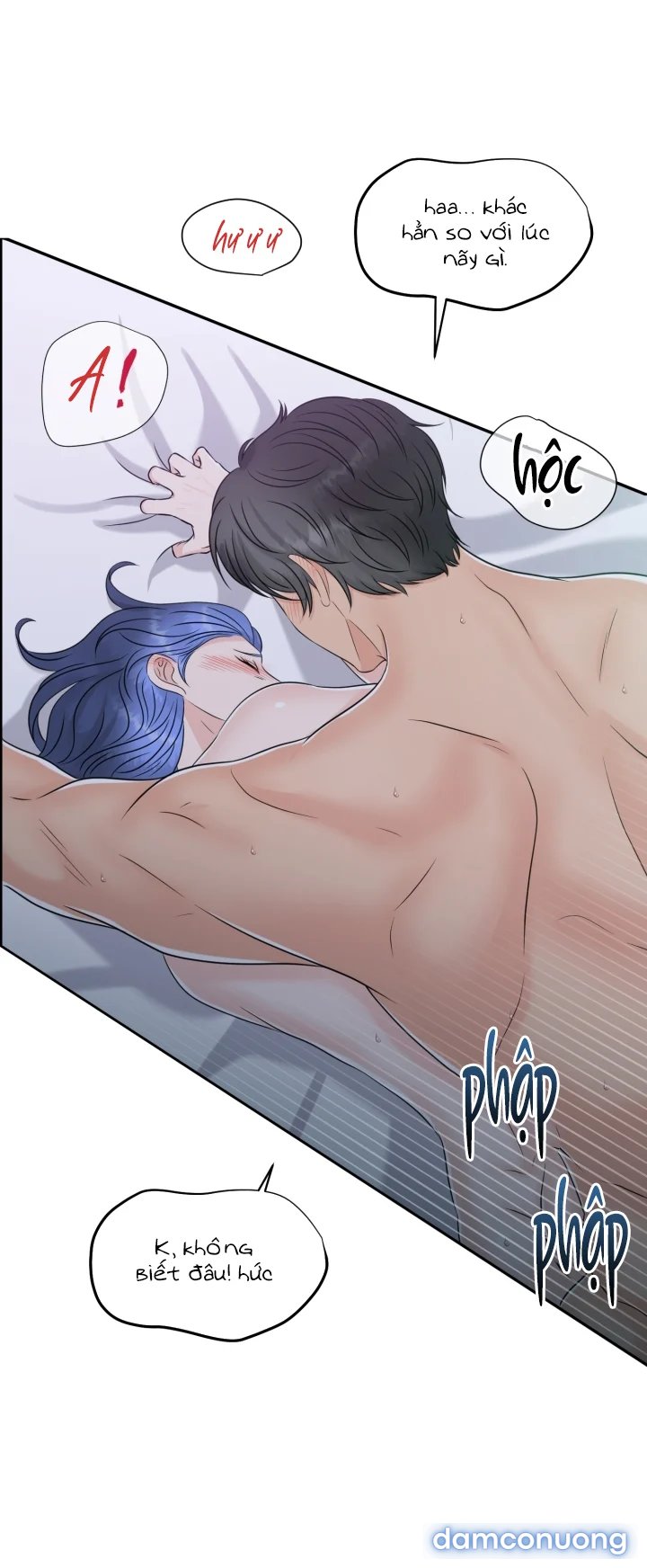 [18+] Em Sẽ Chọn Alpha Nào~ 