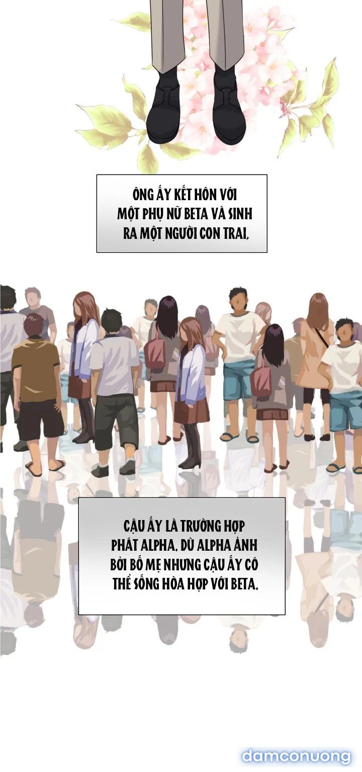 [18+] Em Sẽ Chọn Alpha Nào~ 