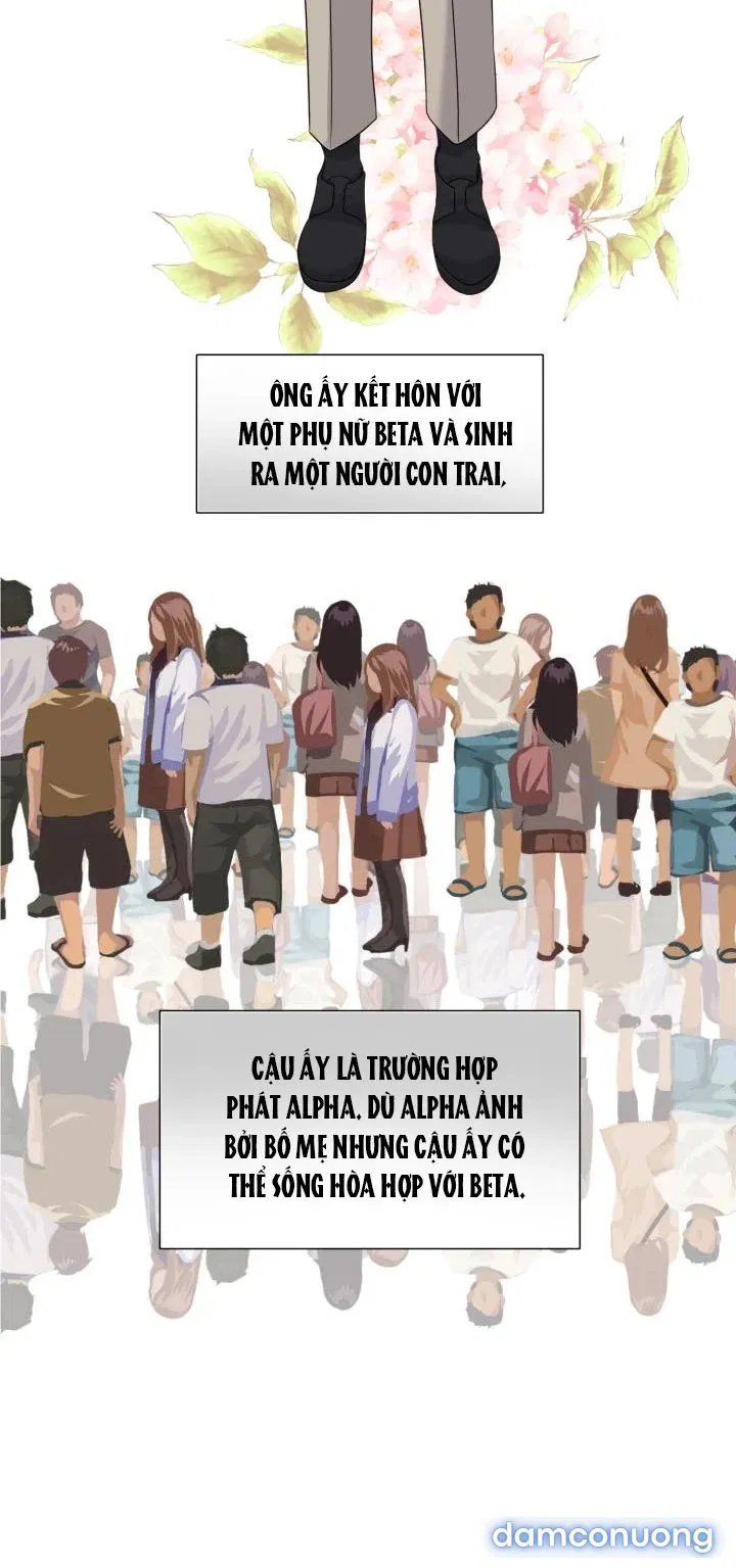 [18+] Em Sẽ Chọn Alpha Nào~ 