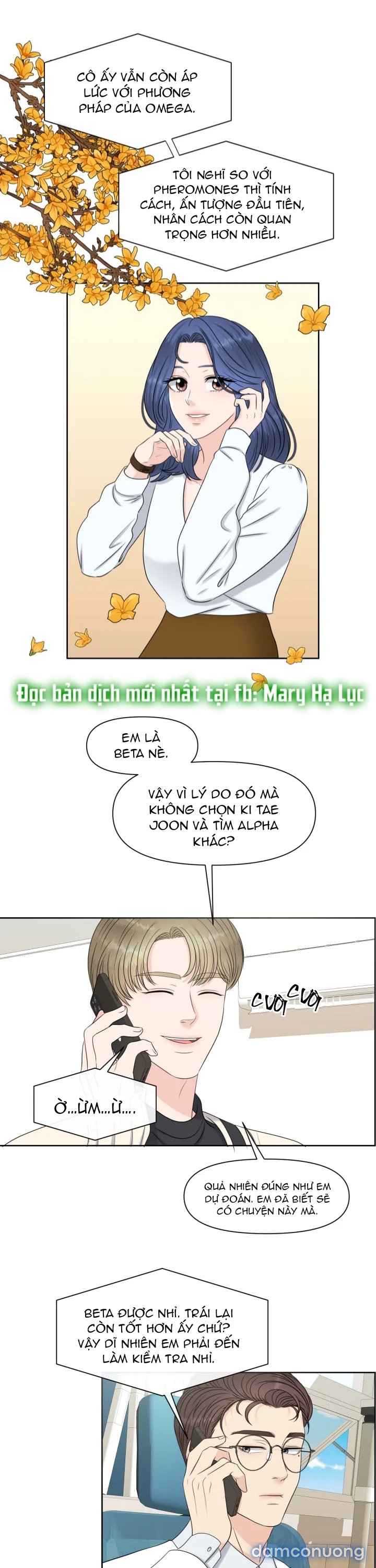 [18+] Em Sẽ Chọn Alpha Nào~ 