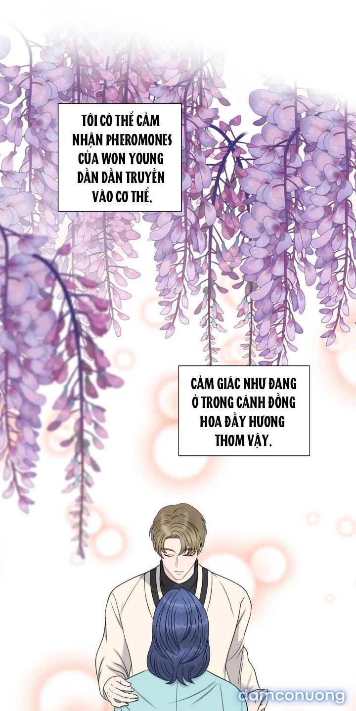 [18+] Em Sẽ Chọn Alpha Nào~ 