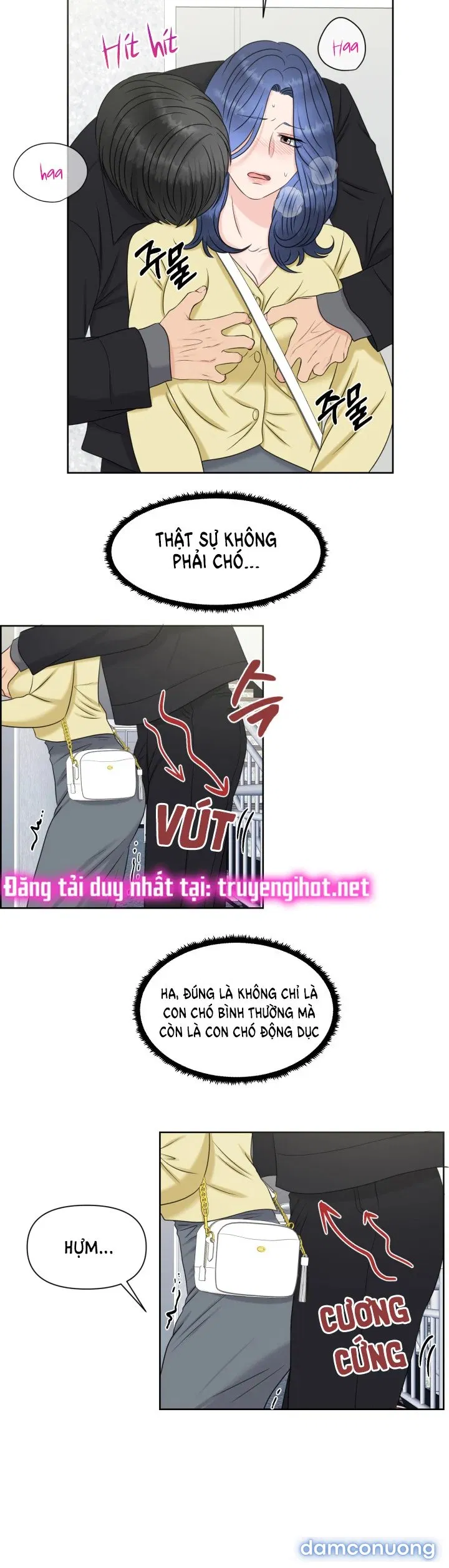 [18+] Em Sẽ Chọn Alpha Nào~ 