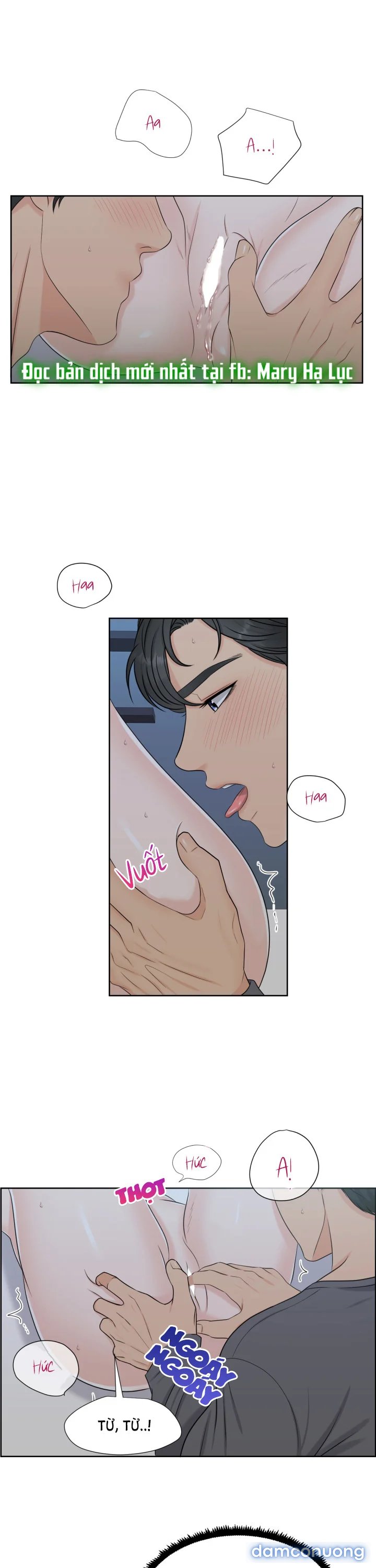 [18+] Em Sẽ Chọn Alpha Nào~ 