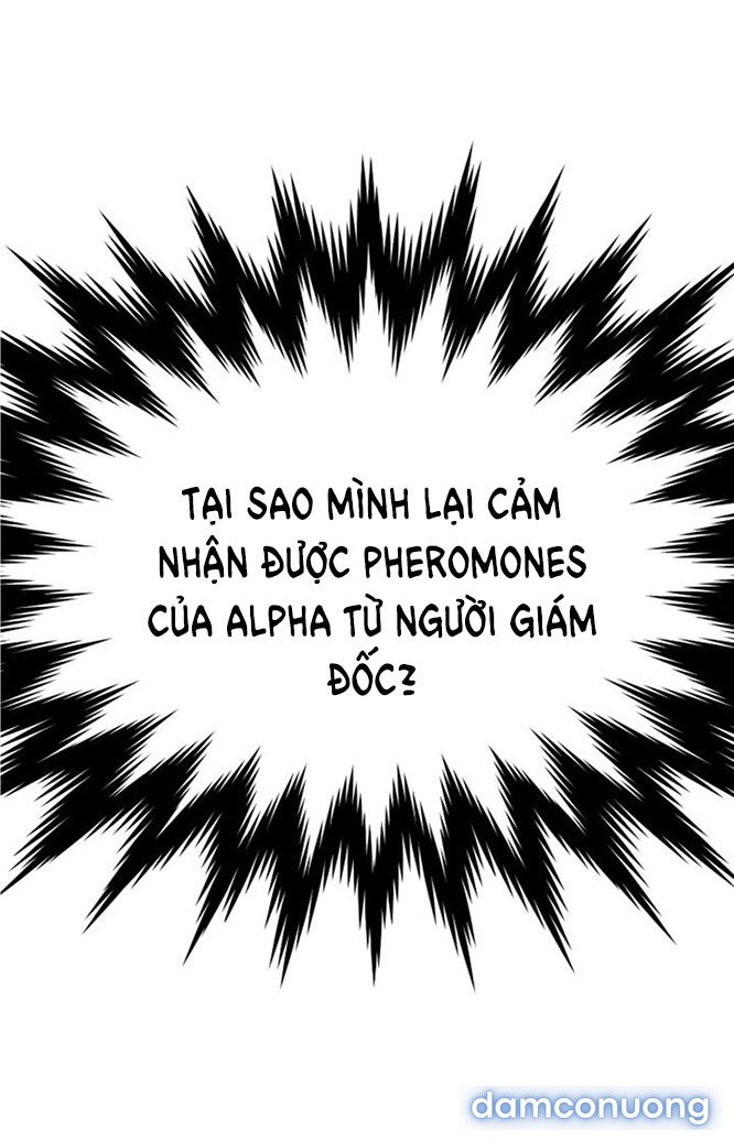 [18+] Em Sẽ Chọn Alpha Nào~ 