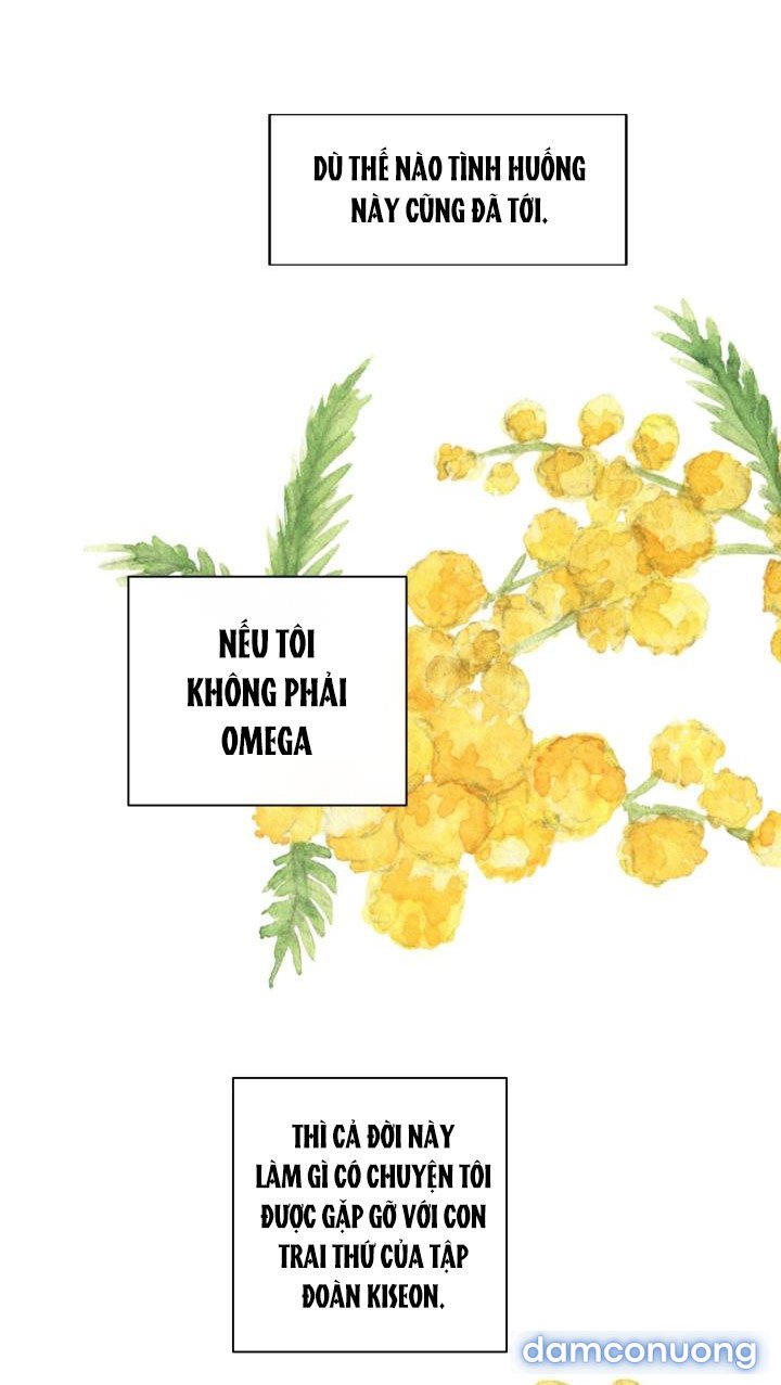 [18+] Em Sẽ Chọn Alpha Nào~ 