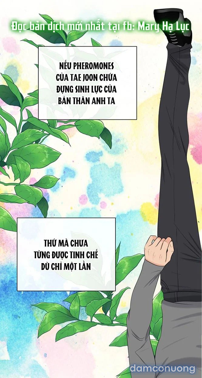 [18+] Em Sẽ Chọn Alpha Nào~ 