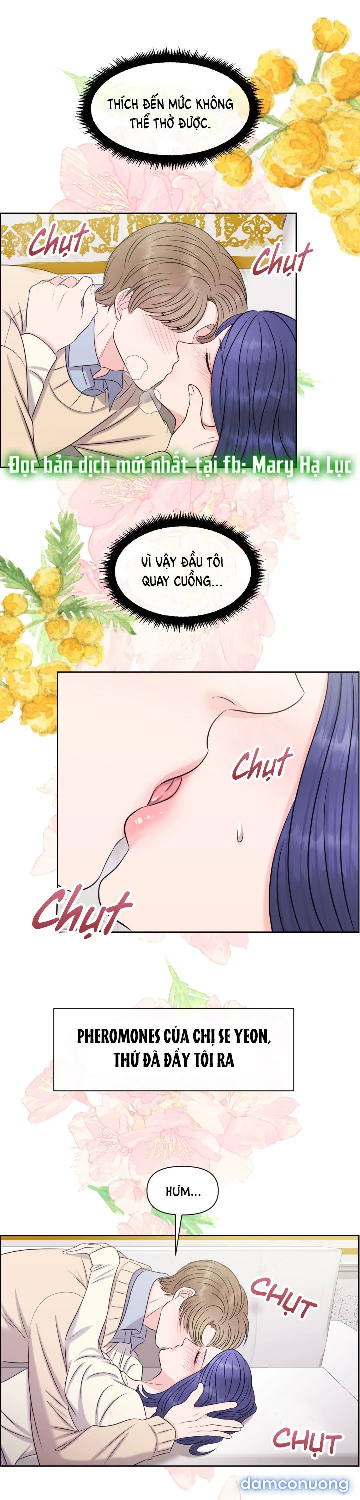 [18+] Em Sẽ Chọn Alpha Nào~ 
