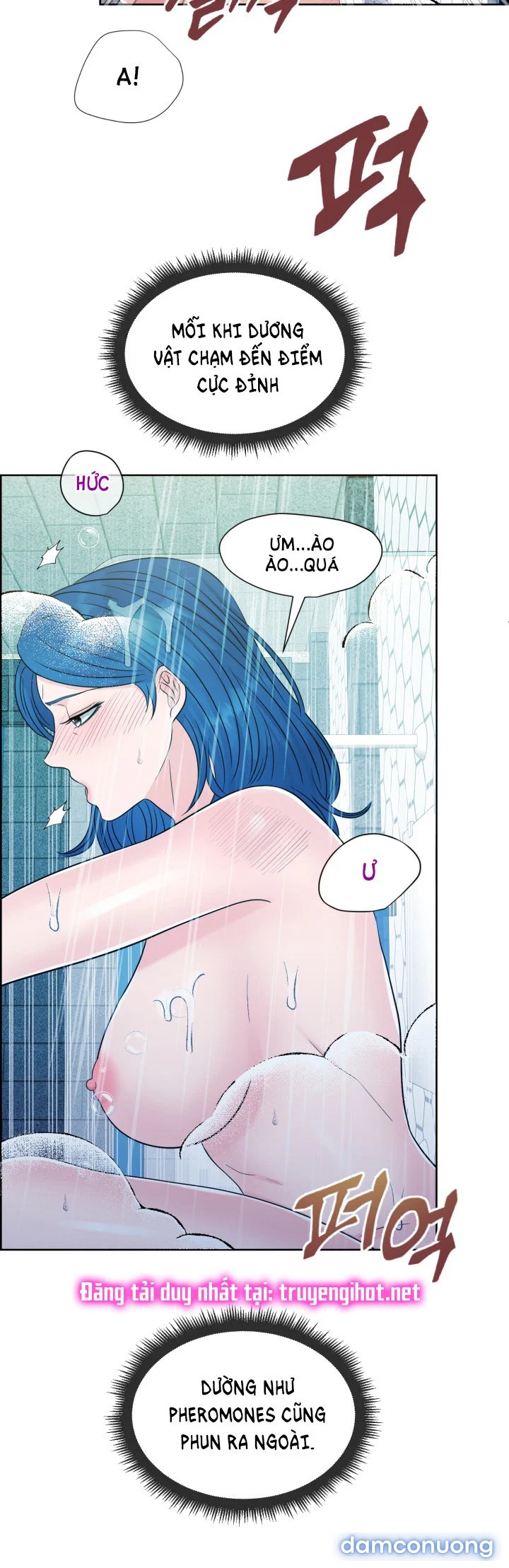 [18+] Em Sẽ Chọn Alpha Nào~ 