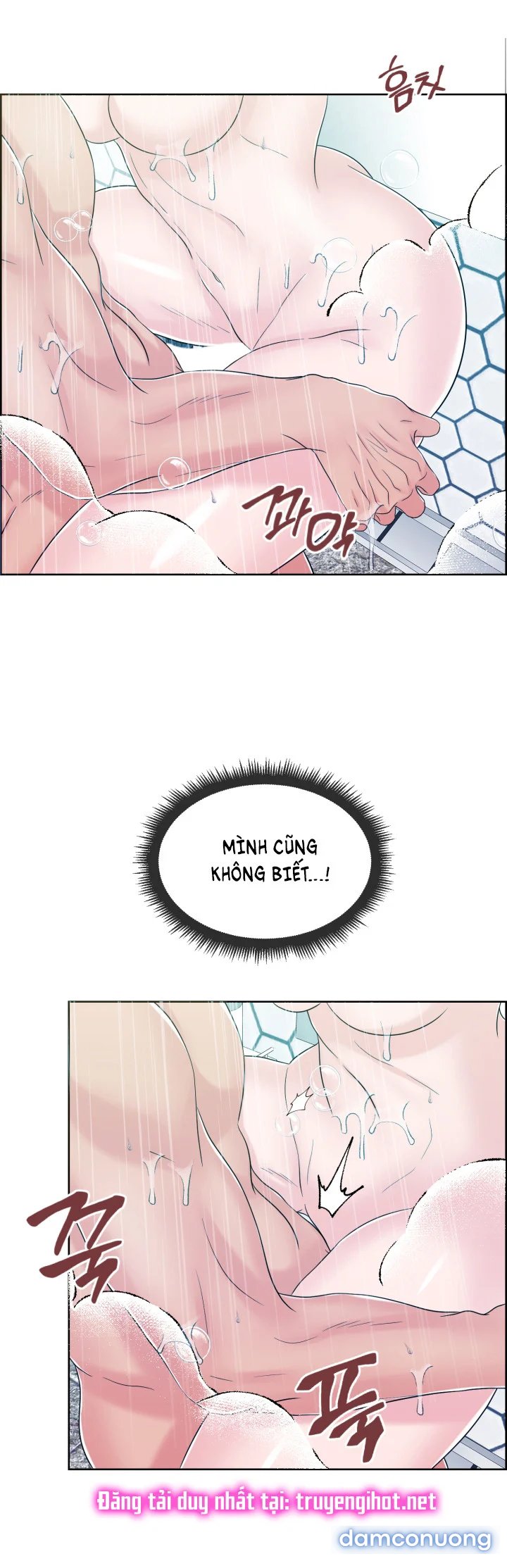 [18+] Em Sẽ Chọn Alpha Nào~ 