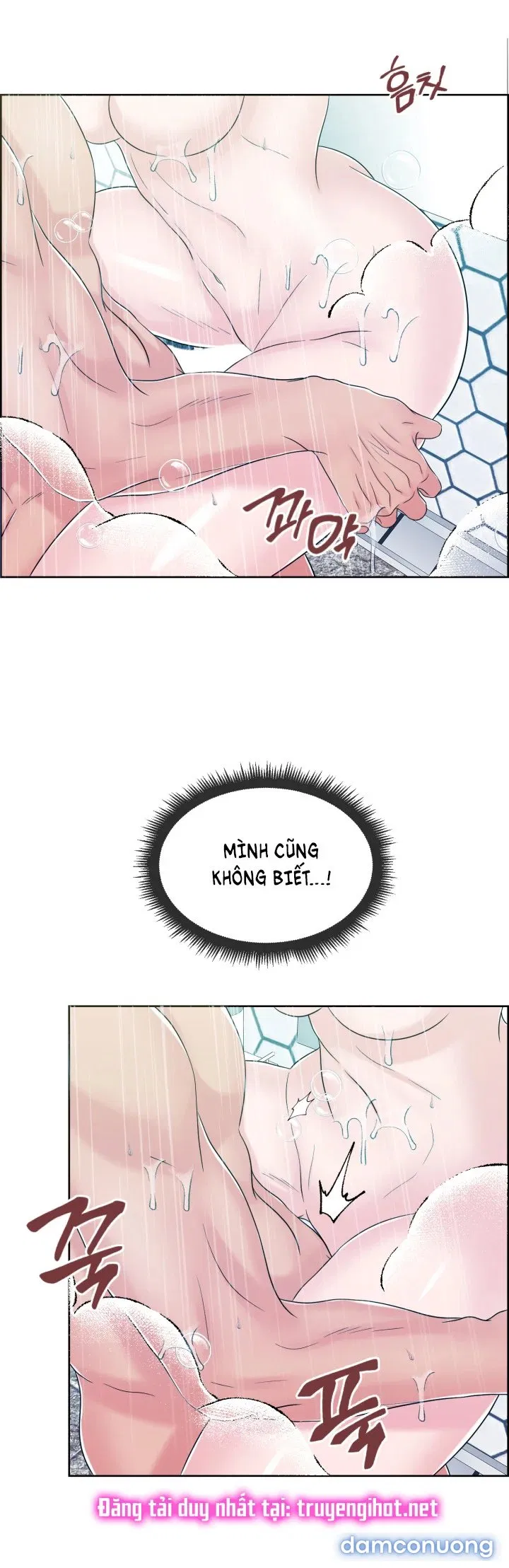 [18+] Em Sẽ Chọn Alpha Nào~ 