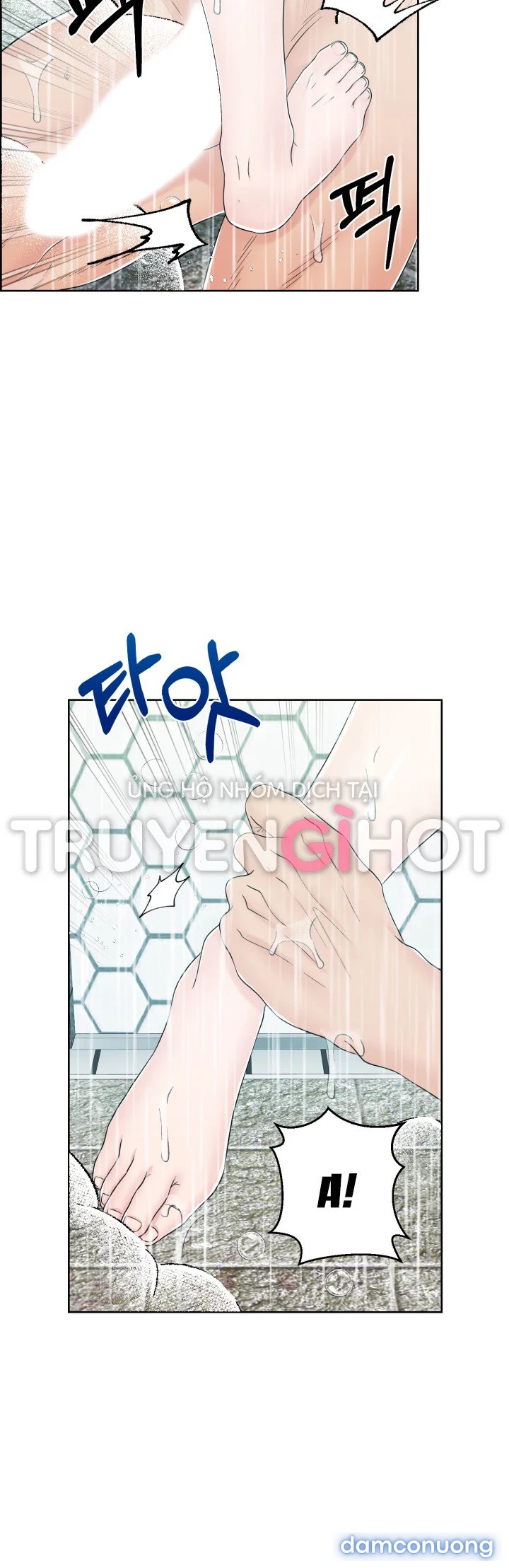 [18+] Em Sẽ Chọn Alpha Nào~ 