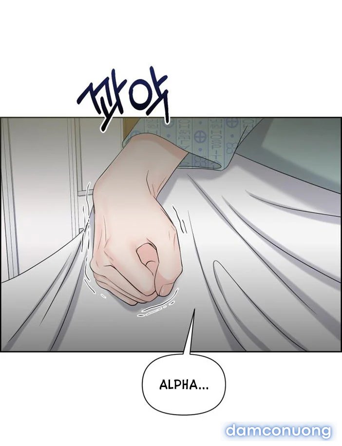 [18+] Em Sẽ Chọn Alpha Nào~ 