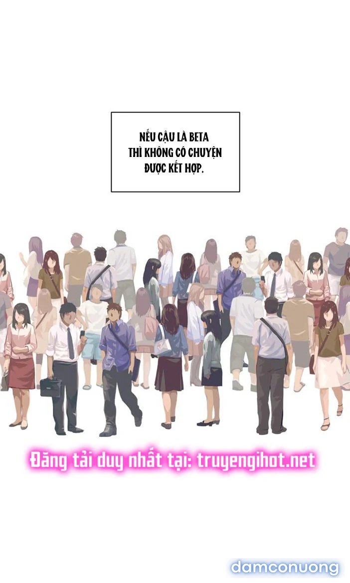 [18+] Em Sẽ Chọn Alpha Nào~ 