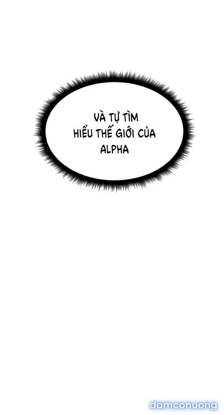 [18+] Em Sẽ Chọn Alpha Nào~ 