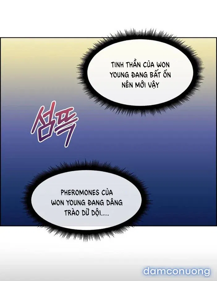 [18+] Em Sẽ Chọn Alpha Nào~ 