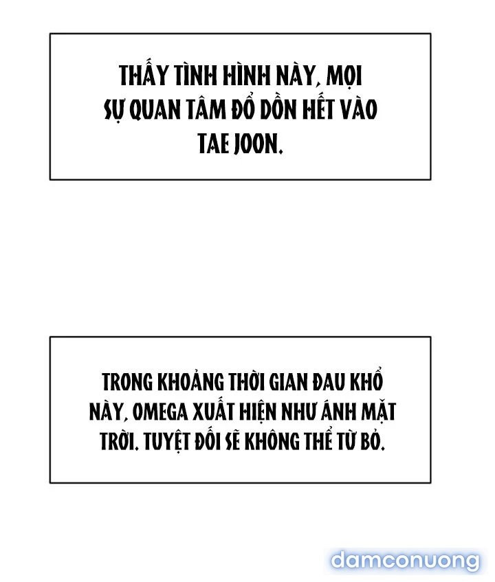 [18+] Em Sẽ Chọn Alpha Nào~ 
