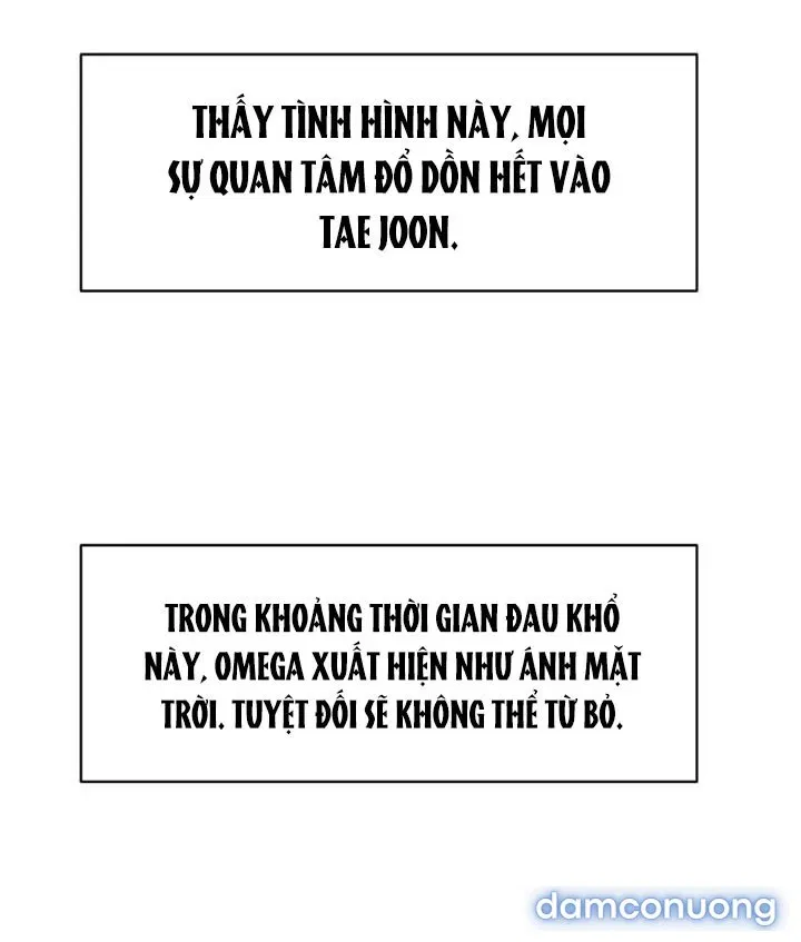 [18+] Em Sẽ Chọn Alpha Nào~ 