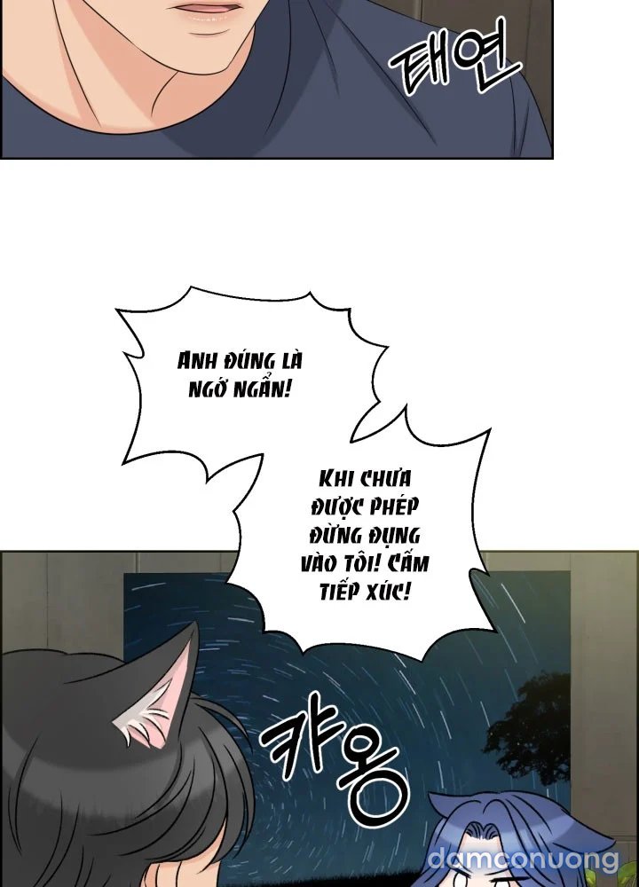 [18+] Em Sẽ Chọn Alpha Nào~ 