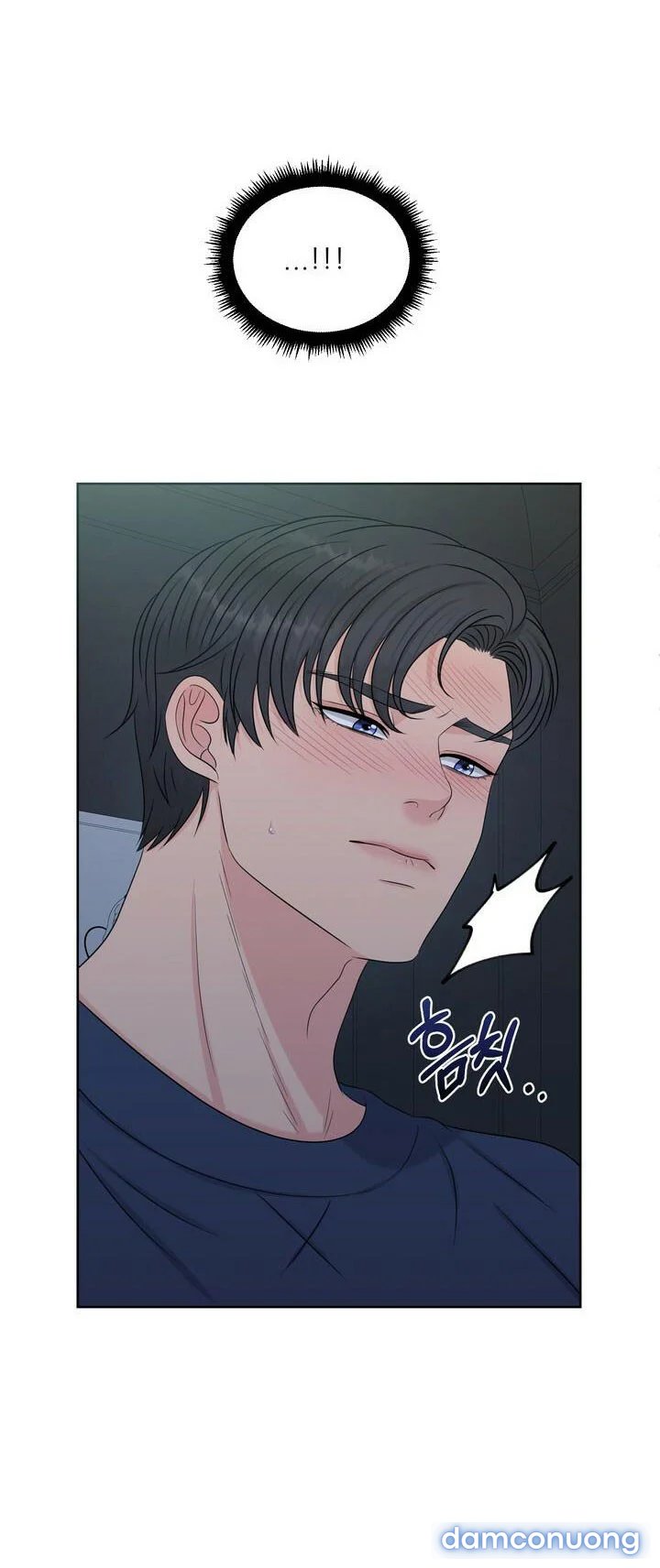 [18+] Em Sẽ Chọn Alpha Nào~ 