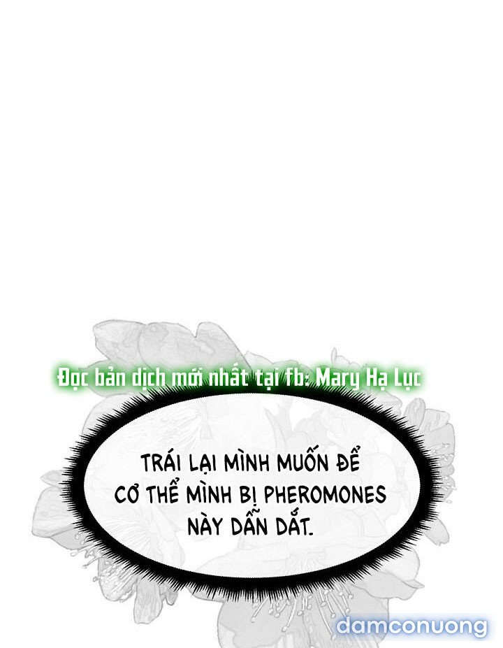 [18+] Em Sẽ Chọn Alpha Nào~ 