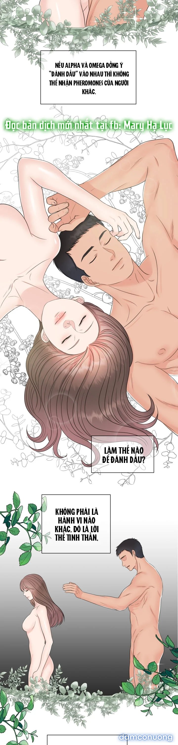 [18+] Em Sẽ Chọn Alpha Nào~ 