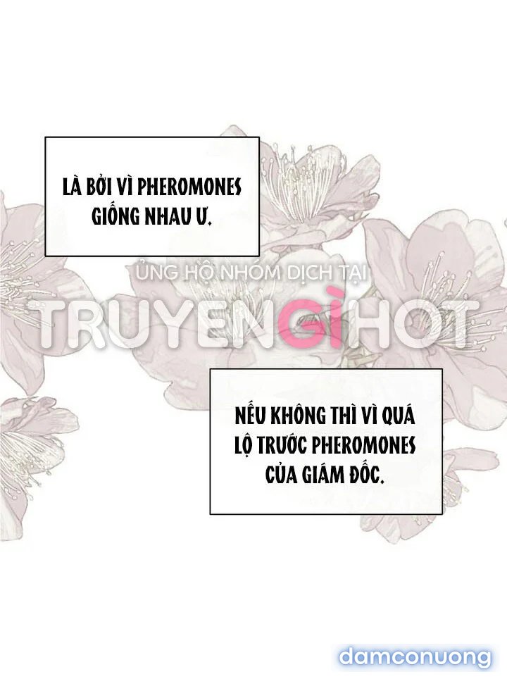 [18+] Em Sẽ Chọn Alpha Nào~ 