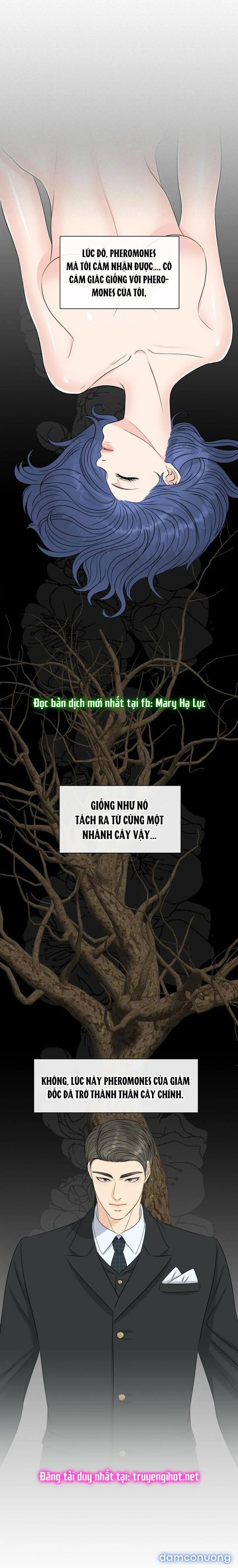 [18+] Em Sẽ Chọn Alpha Nào~ 