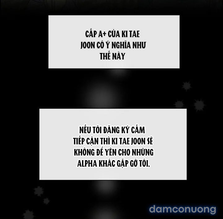 [18+] Em Sẽ Chọn Alpha Nào~ 