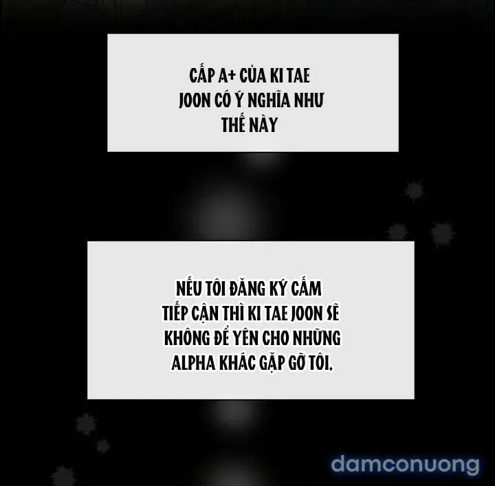 [18+] Em Sẽ Chọn Alpha Nào~ 