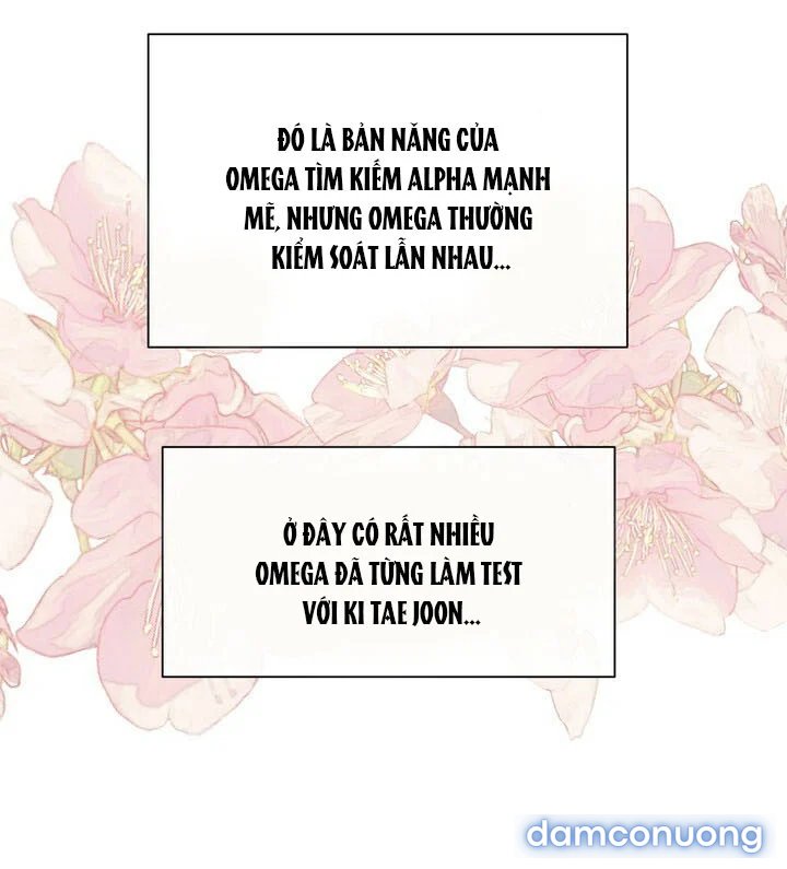 [18+] Em Sẽ Chọn Alpha Nào~ 