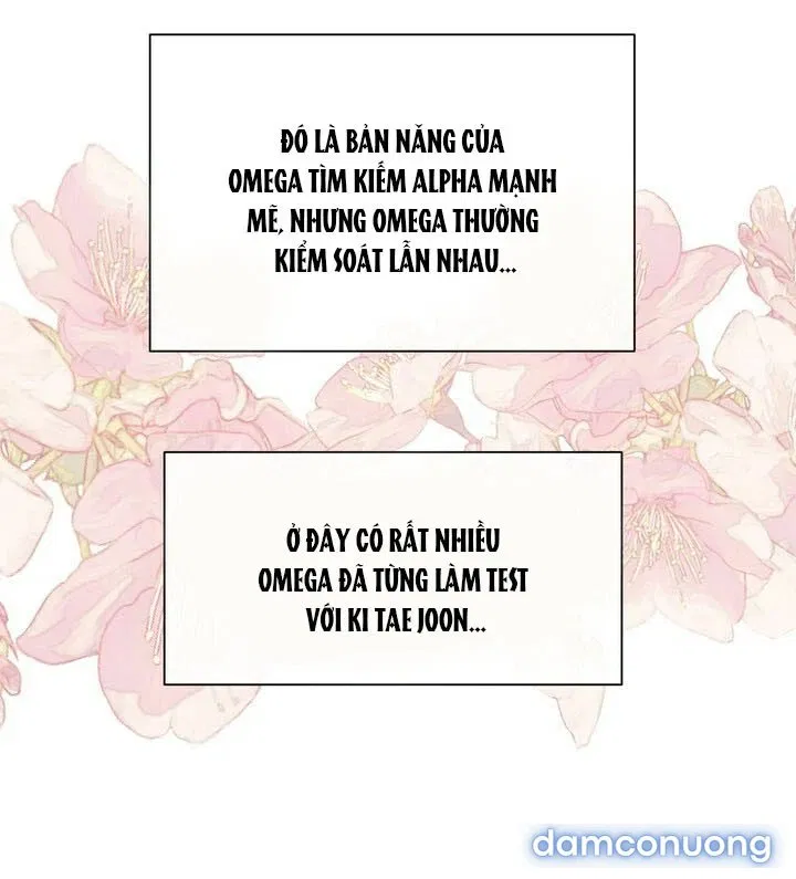 [18+] Em Sẽ Chọn Alpha Nào~ 