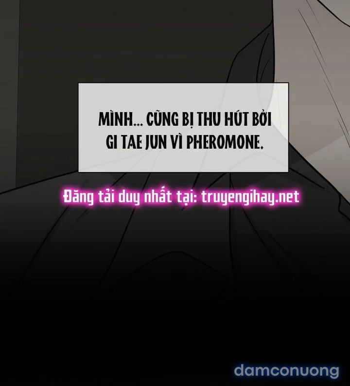 [18+] Em Sẽ Chọn Alpha Nào~ 
