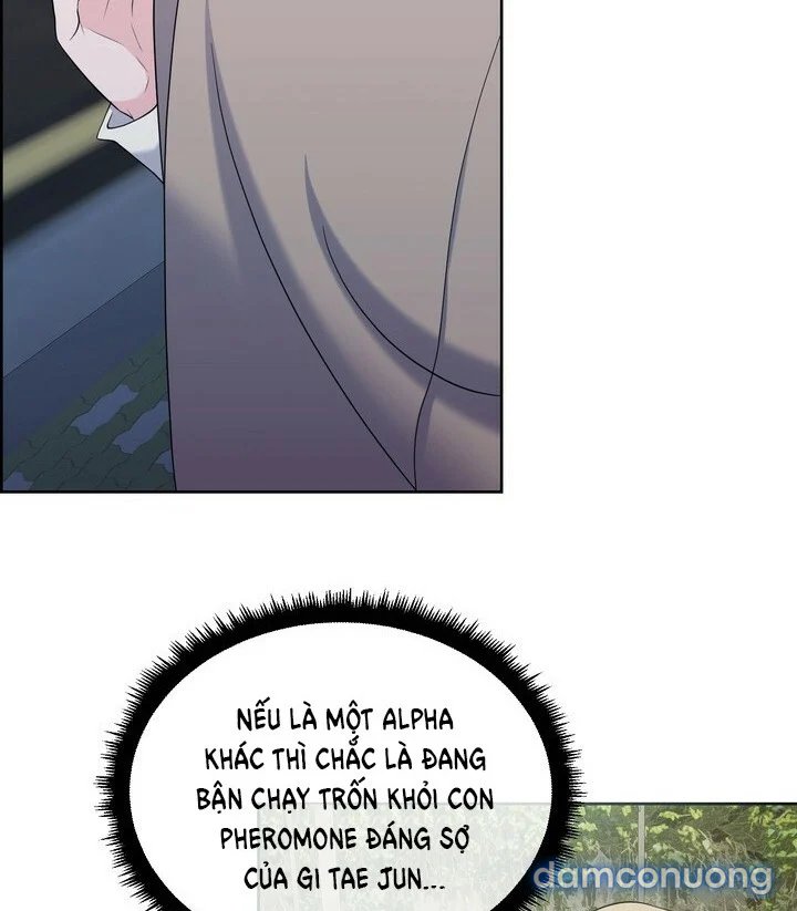 [18+] Em Sẽ Chọn Alpha Nào~ 