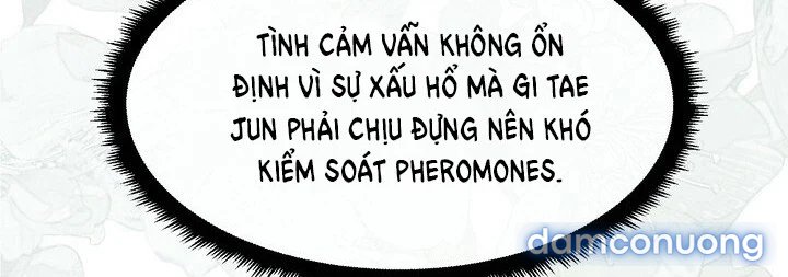 [18+] Em Sẽ Chọn Alpha Nào~ 
