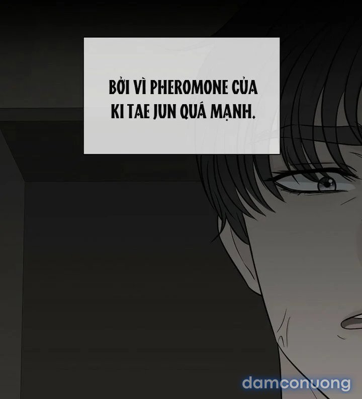 [18+] Em Sẽ Chọn Alpha Nào~ 