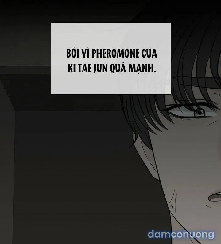 [18+] Em Sẽ Chọn Alpha Nào~ 