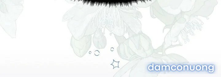 [18+] Em Sẽ Chọn Alpha Nào~ 