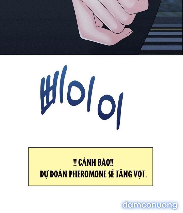 [18+] Em Sẽ Chọn Alpha Nào~ 