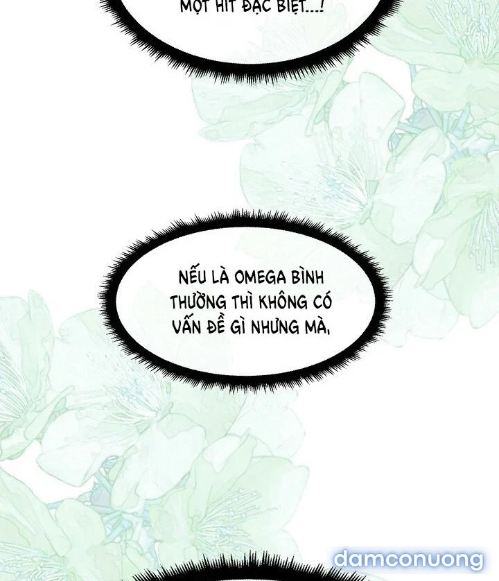[18+] Em Sẽ Chọn Alpha Nào~ 