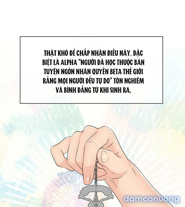 [18+] Em Sẽ Chọn Alpha Nào~ 